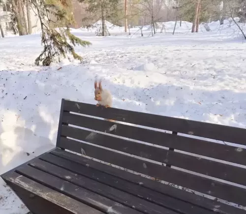 16 мартка һава торышы