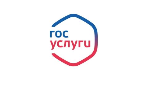 Татарстанда яшәүчеләр «Госуслуги» порталында «Тормыш хәлләре» каталогын бәяләгән