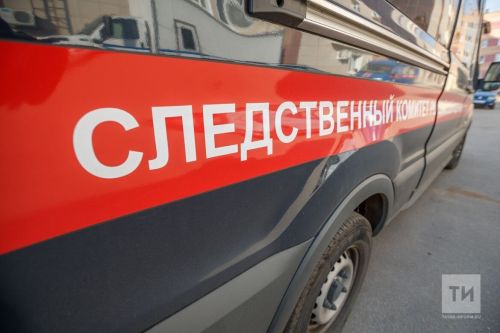 Яшел Үзәндә атна эчендә 14 урлау, 8 мошенниклык, 2 талау очрагы теркәлде