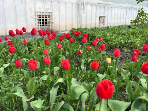 12 майга һава торышы
