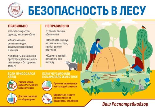 Баланы лагерьга әзерләү: таләпләр, документлар, аптечка һ.б.