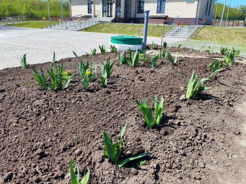 Бердәмлектә — көч: Кече Шырданда зур өмә узды