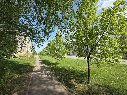 Татарстанда аномаль эсселек көтелә