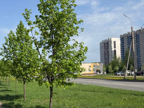 18 майга һава торышы