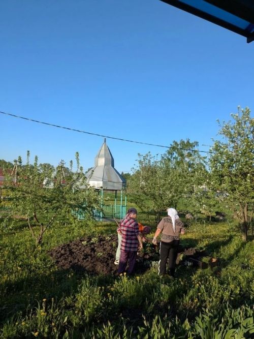 Норлатта волонтерлар Хәмзә мәчете территориясендә чәчәк утыртты