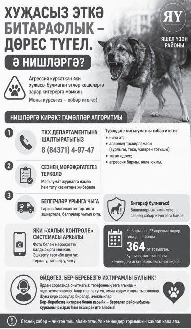 Хуҗасыз эткә битарафлык – дөрес түгел. Ә нишләргә?