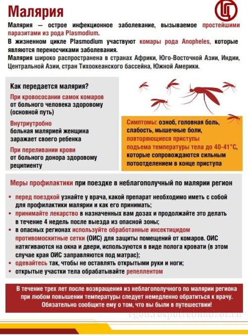 Куркынычсыз ял итү кагыйдәләре