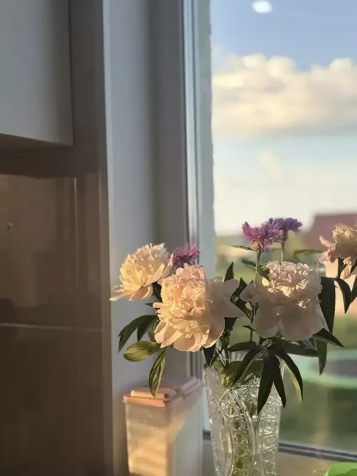 24 июньгә һава торышы