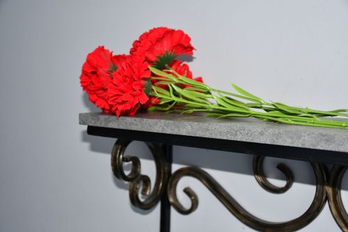 Татарстанда Ватанны саклаган вакытта һәлак булганнарның хәтерен мәңгеләштерү турында закон кабул ителде