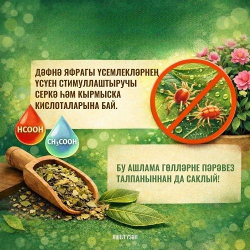 Гөлләрегез рәхмәт әйтер!