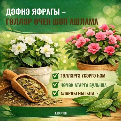 Гөлләрегез рәхмәт әйтер!