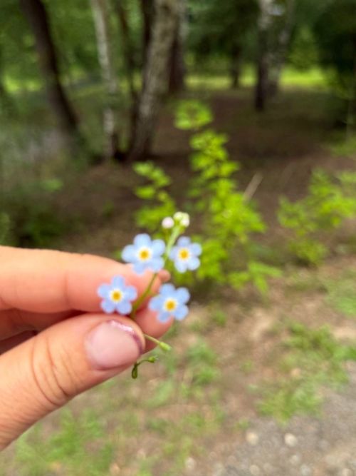 Казан янындагы тылсымлы Зәңгәр күлләр - Татарстаныбызның чын бер хәзинәсе