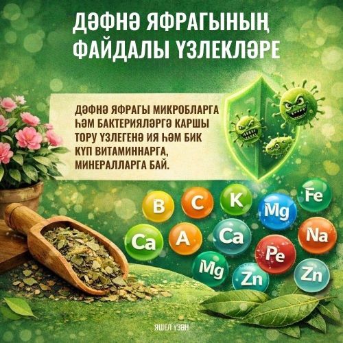 Гөлләрегез рәхмәт әйтер!