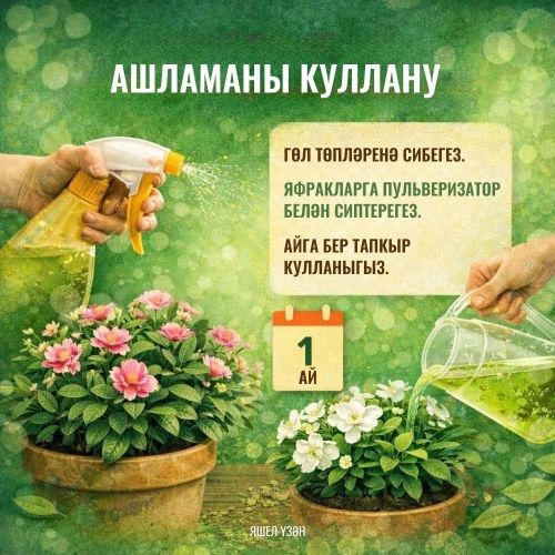 Гөлләрегез рәхмәт әйтер!