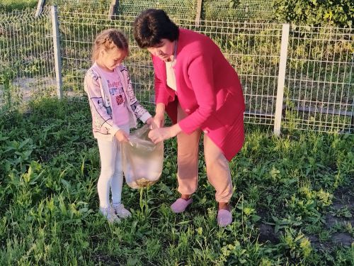 Хезмәт тәрбиясе – балачактан ук салына: Мулла Иле мәдәният йорты янында өмә узды