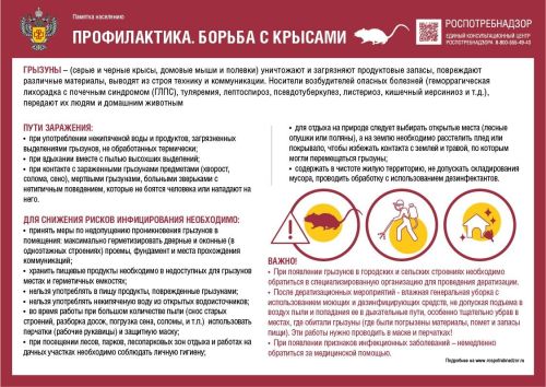 Бөтендөнья корткычларга каршы көрәш көне: профилактика чаралары һәм кимерүчеләрдән саклану юллары