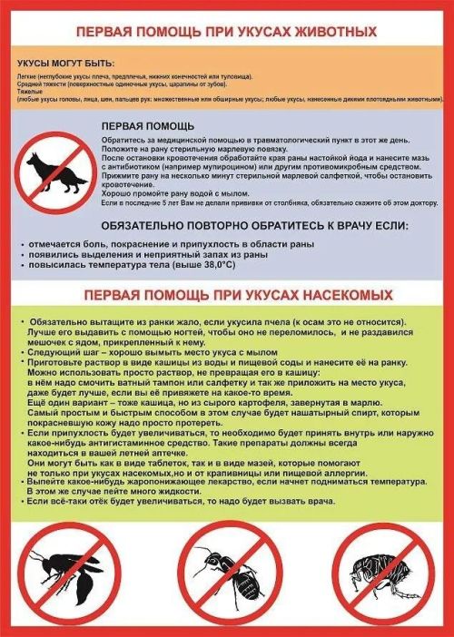 Бөтендөнья корткычларга каршы көрәш көне: профилактика чаралары һәм кимерүчеләрдән саклану юллары