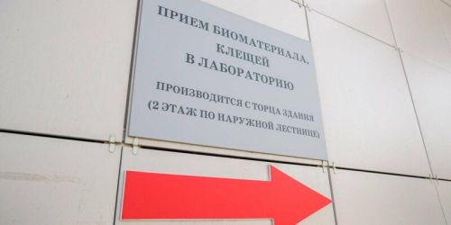 Татарстанда сезон башыннан талпан боррелиозының беренче очраклары ачыкланды