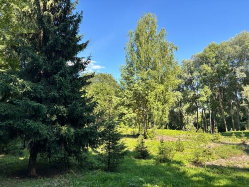 Татарстан урманнарында быел 225 ял зонасы төзекләндерелгән