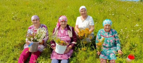 Җәй уртасы, туган көн һәм дару үләннәре: «Хәзинә» коллективы табигать кочагында