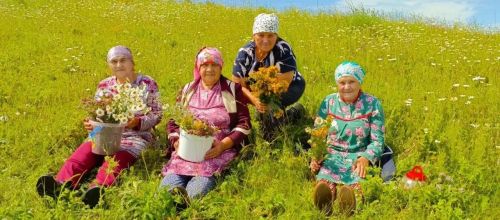 Җәй уртасы, туган көн һәм дару үләннәре: «Хәзинә» коллективы табигать кочагында