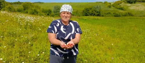 Җәй уртасы, туган көн һәм дару үләннәре: «Хәзинә» коллективы табигать кочагында