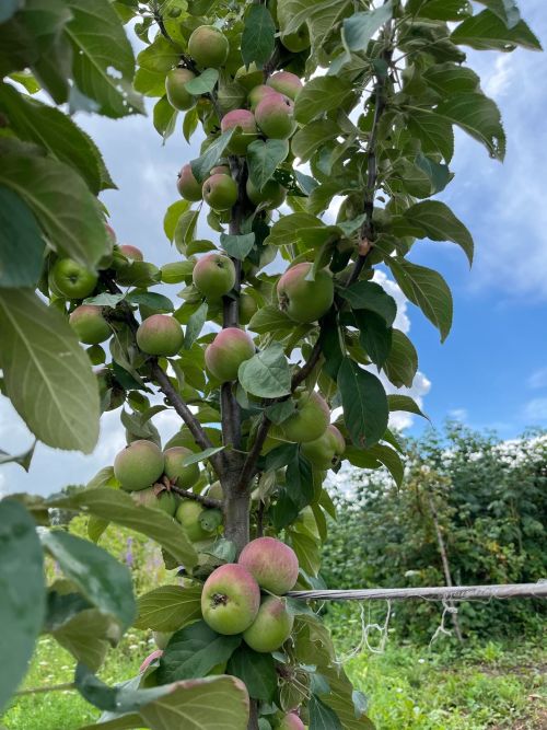 31 июльгә һава торышы