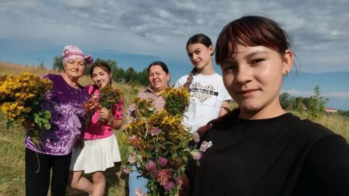 Олы Шырданнан яшел табиблар тарихы: Сәламәтлекне үләннәр белән ничек сакларга?