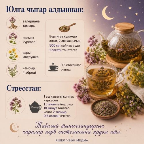 Йокысызлык һәм стресс вакытында кулланырга мөмкин булган файдалы үлән чәйләре һәм төнәтмәләр тупладык