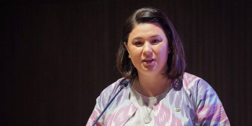 Чит ил инвесторлары Татарстанның сигез районына инвестиция кертте