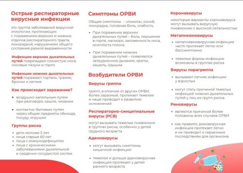 Сәламәт яшәү рәвеше — грипп һәм ОРВИ профилактикасы