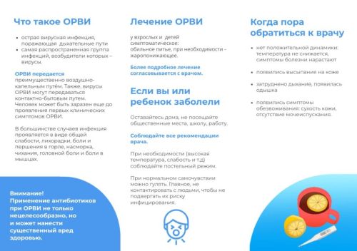 Сәламәт яшәү рәвеше — грипп һәм ОРВИ профилактикасы