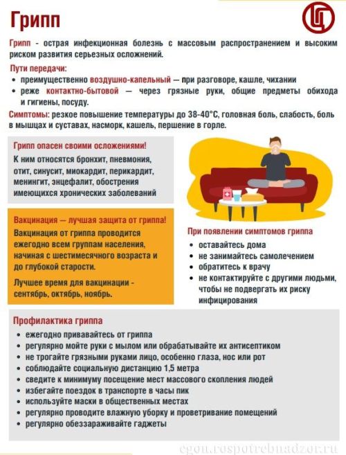 Сәламәт яшәү рәвеше — грипп һәм ОРВИ профилактикасы