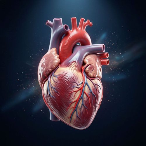 28 сентябрьдән 4 октябрьгә кадәр йөрәккә җаваплы мөнәсәбәт атнасы уза