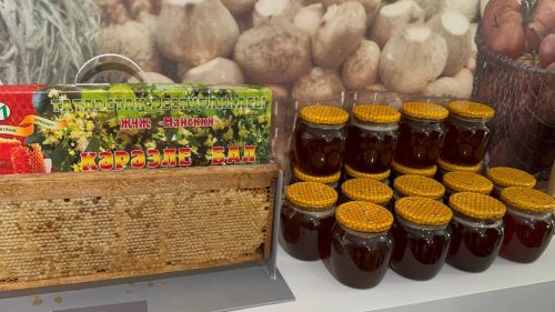 Илшат Газыйм улы Ганиевны искә алу чарасы