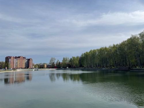 Матурлыкны күрә белик