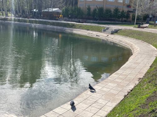 Матурлыкны күрә белик