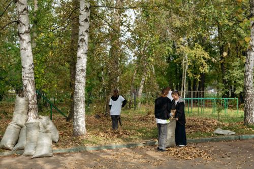 1нче лицейда "YOU GREEN" экологик акциясе