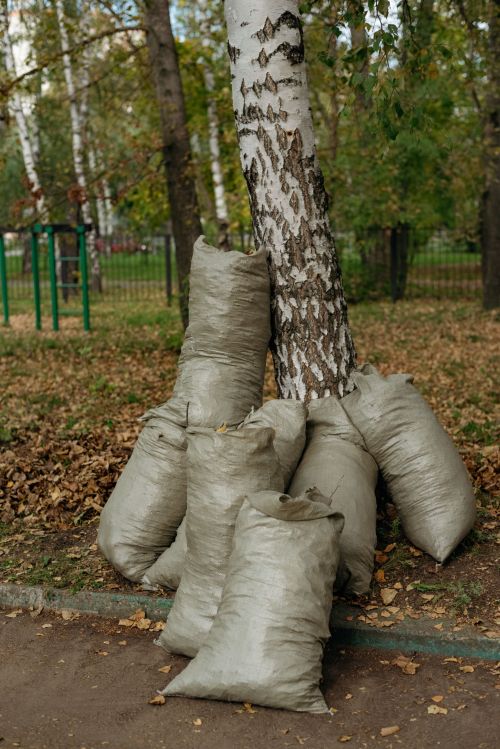 1нче лицейда "YOU GREEN" экологик акциясе