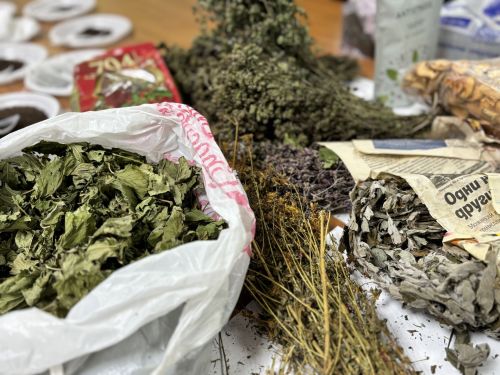 «Добро.Центр»да 11нче мәктәп укучылары өчен мастер-класс