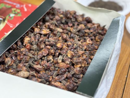 «Добро.Центр»да 11нче мәктәп укучылары өчен мастер-класс