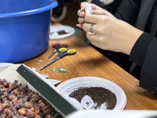 «Добро.Центр»да 11нче мәктәп укучылары өчен мастер-класс