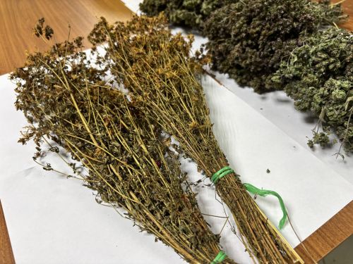 «Добро.Центр»да 11нче мәктәп укучылары өчен мастер-класс