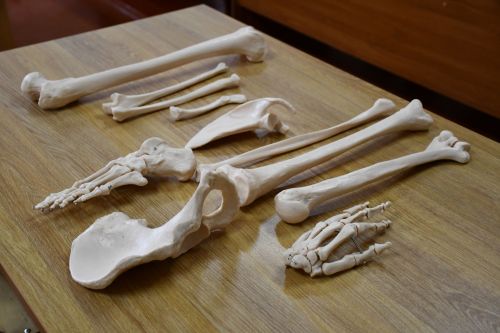 Медицина көллиятендә ачык ишекләр чарасы узды