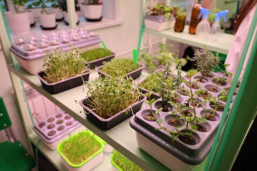 Осинованың Карпов исемендәге гимназиясендә агротехник сыйныф ачылды