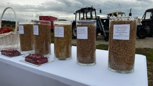 Рөстәм Миңнехановның Яшел Үзән районы Олы Яке авыл җирлегенә сәфәре