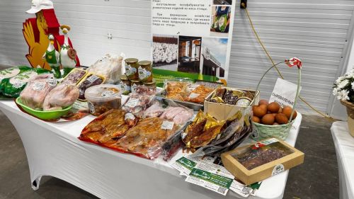 Рөстәм Миңнехановның Яшел Үзән районы Олы Яке авыл җирлегенә сәфәре