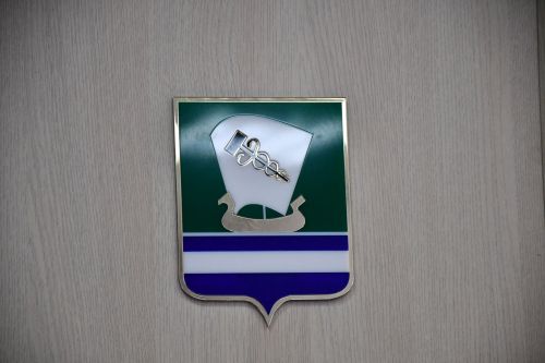 Күгәй авыл җирлегендә хисап сессиясе