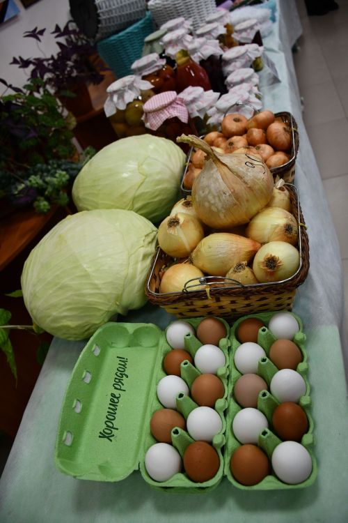 Олы Яке авыл җирлегендә узган хисап сессиясе