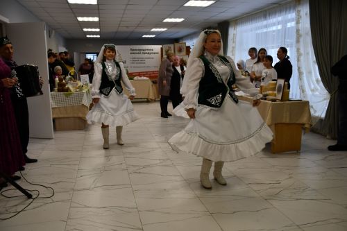 Бишнә авыл җирлегендә хисап сессиясе